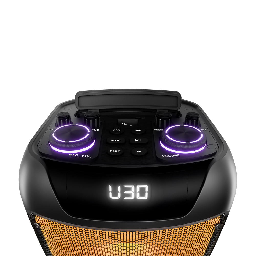 L-267 Jamster | 30 Watt Wireless Speaker 