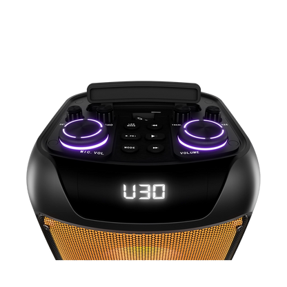 L-267 Jamster | 30 Watt Wireless Speaker 