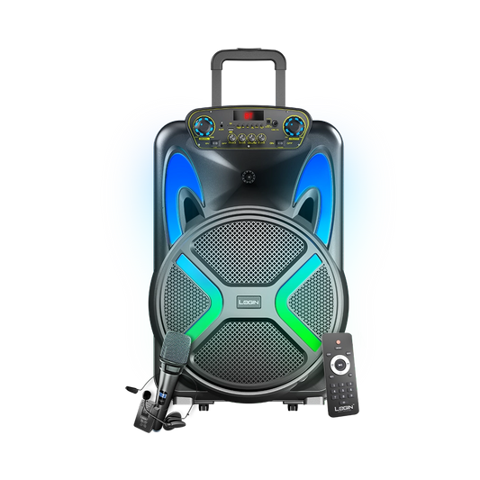 L-266 Ronaq | 15 inch wireless speaker 