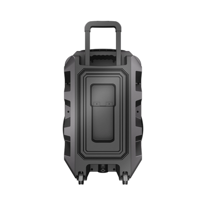 L-266 Ronaq | 15 inch wireless speaker 