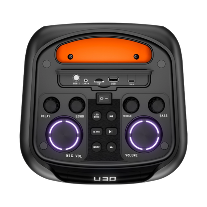 L-267 Jamster | 30 Watt Wireless Speaker 