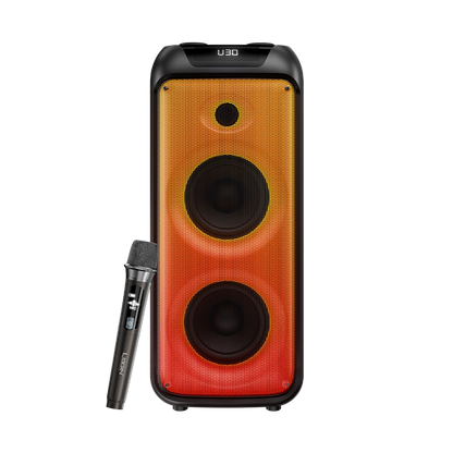 L-267 Jamster | 30 Watt Wireless Speaker 