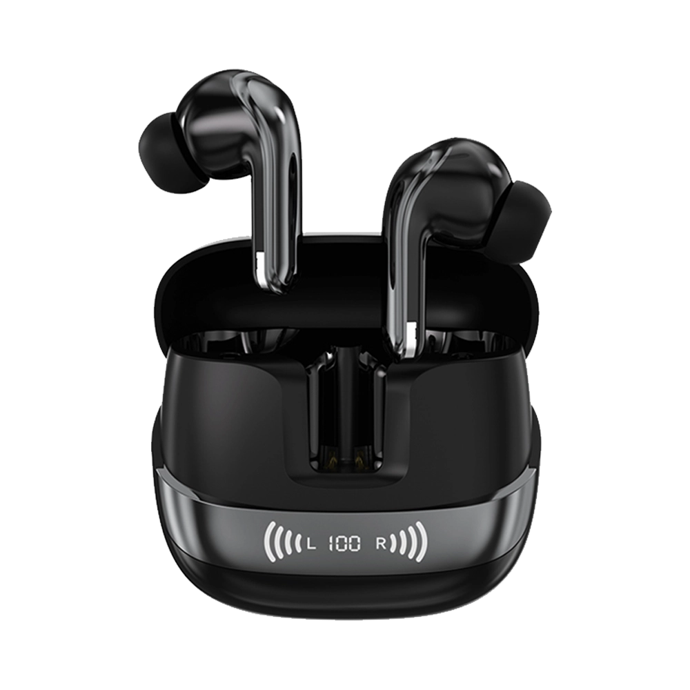 L-213 Earbuds