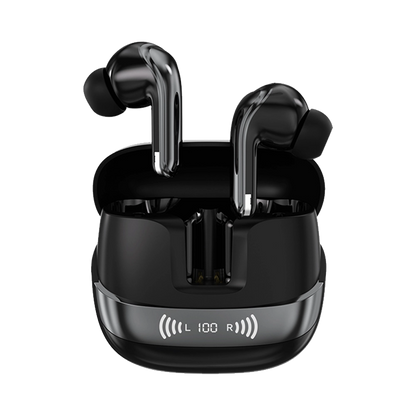 L-213 Earbuds