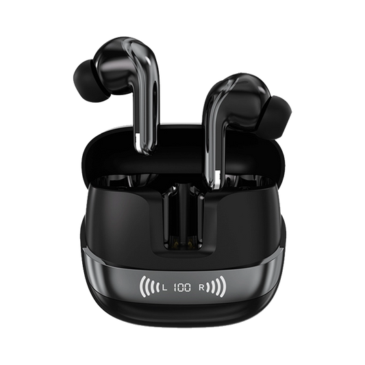 L-213 Earbuds