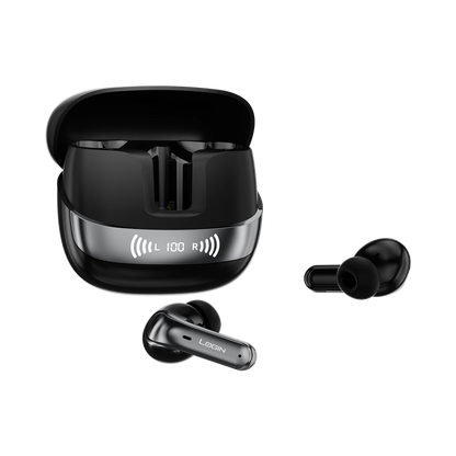 L-213 Earbuds