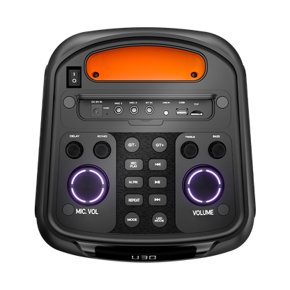 L-268 Jamster Pro | 50 Watt Wireless Speaker 