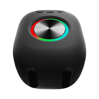 L-273 Ravok Portable Wireless Speaker 