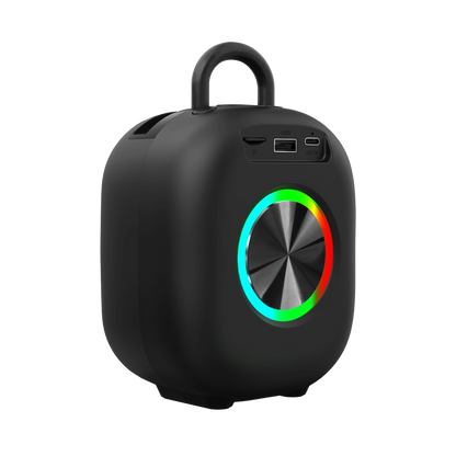 L-273 Ravok Portable Wireless Speaker 