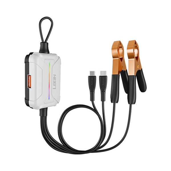 L-501 ChargeMate | Clip Charger 