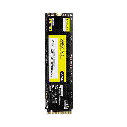 L-NM-1 NVME 256GB