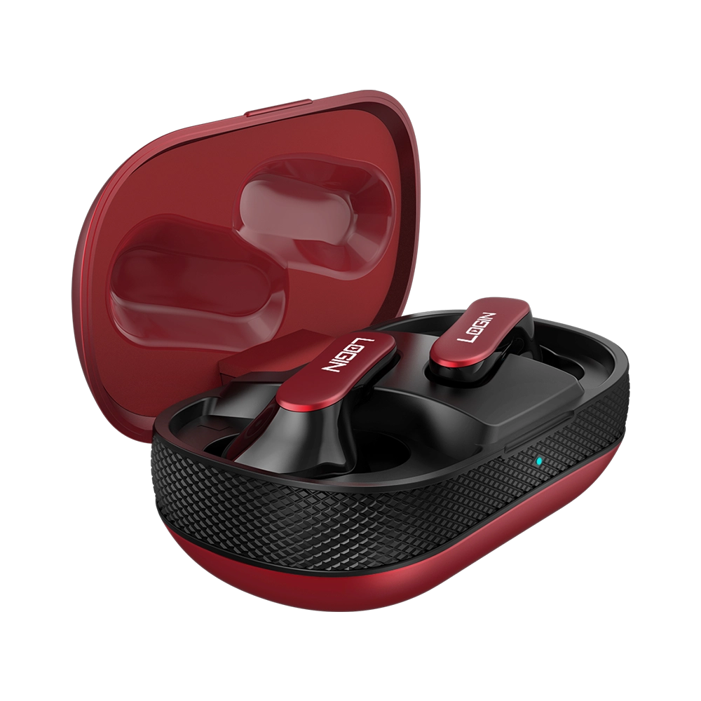L-207 Earbuds