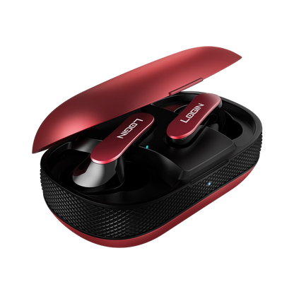L-207 Earbuds