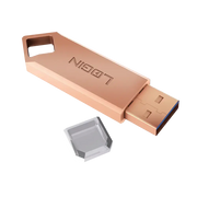 L-U100 USB Flash Drive 256GB