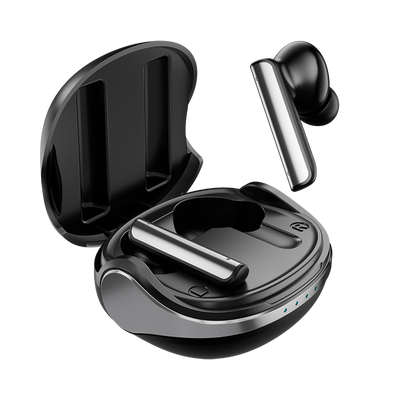 LT-WB6 Earbuds