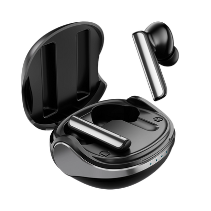 LT-WB6 Earbuds 