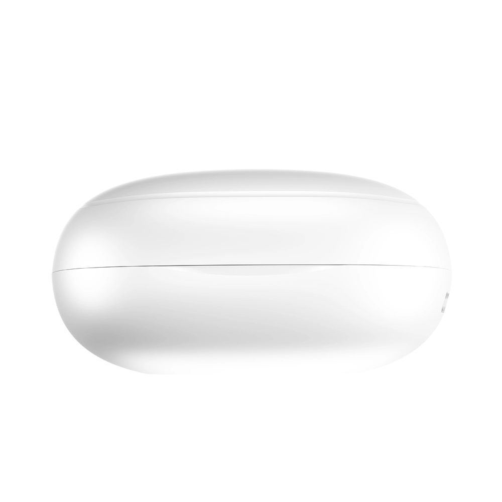 L-202 Earbuds