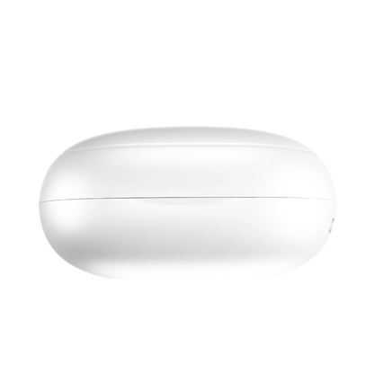 L-202 Earbuds