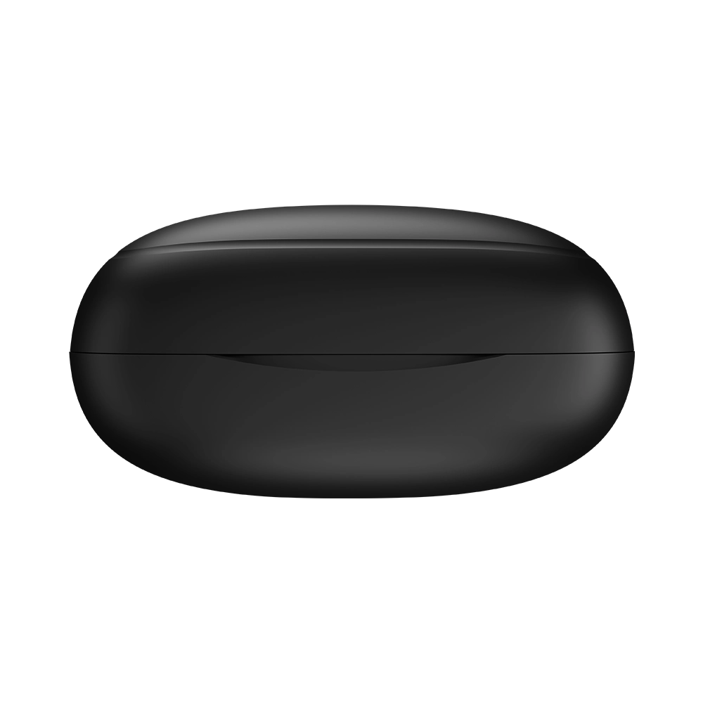 L-202 Earbuds