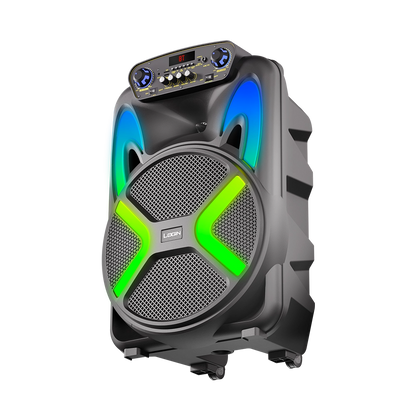 L-266 Ronaq | 15 inch wireless speaker 